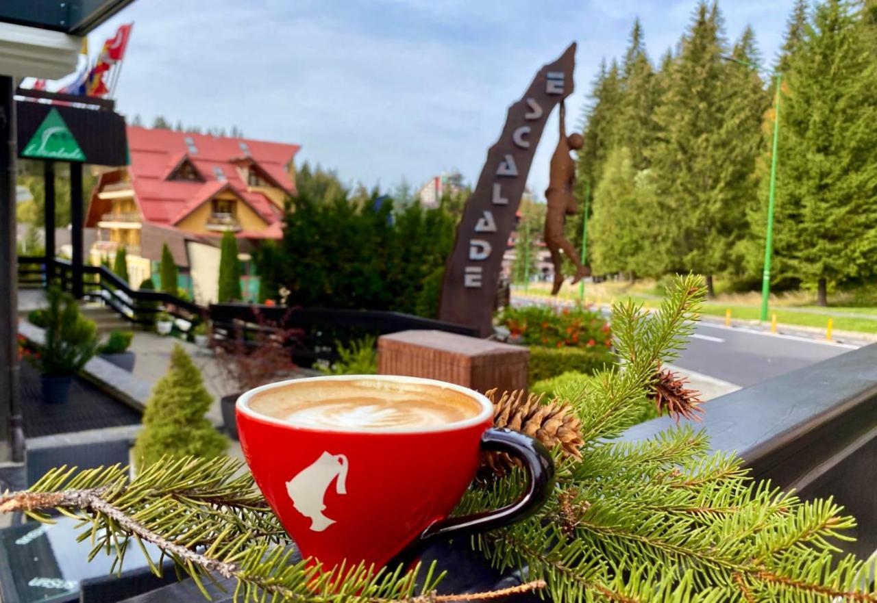 Hotel Escalade Poiana Brasov Buitenkant foto